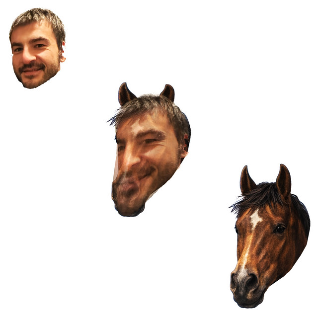Halb Mensch, halb Pferd
