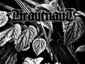 krautnaut