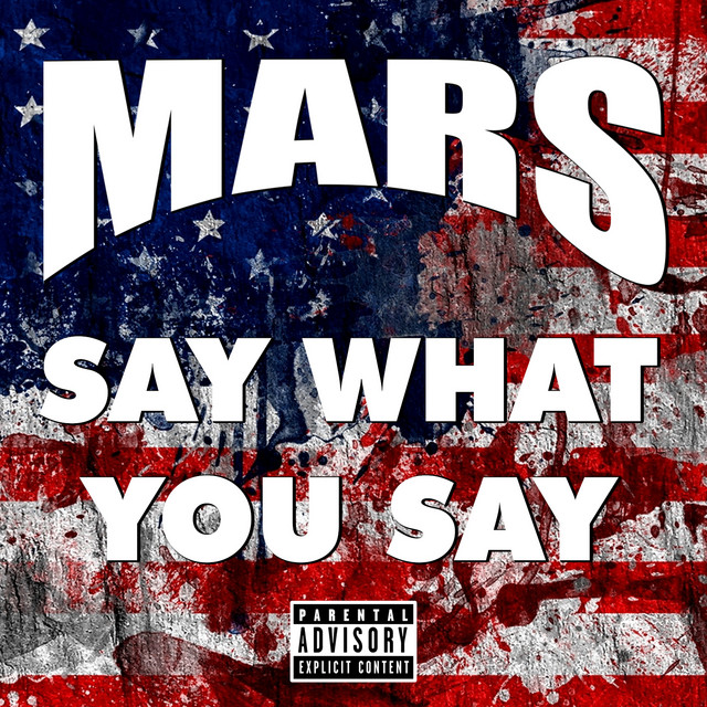 Say What You Say