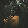 Areca Affair