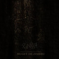Muget de Zimbru