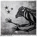Sidetrack (An Acoustic Act to Eradicate Torture)