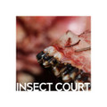 Insect Court