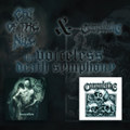 The Voiceless Death Symphony