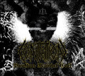 Broken Mortal Coil