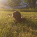 The Beautiful Girl