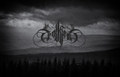 The Harpy - Single