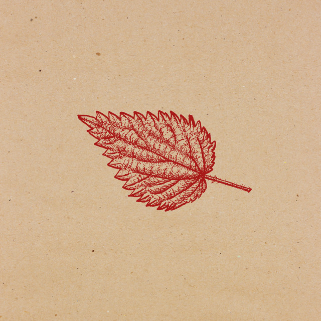 URTICA IN GLASS