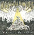 Year of the Robot