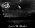 Insanity Be My Kvlt