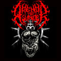Cerebral Labyrinth