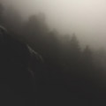 Perdition : The Path Of Agonies