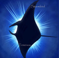 Stormbird