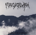 Sleeping in a dream