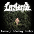 Insanity Infesting Reality