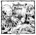 Disastrous Murmur ‎– Skinning Beginning 1989 - 1991