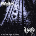 Naamah / Nihilistium - A Path Through Misery And Darkness (Split)