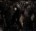 Oppressed States Of Consciousness