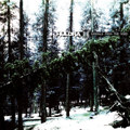 Signals From the Void EP