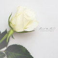 A Beautiful White [Price Cutter Series]