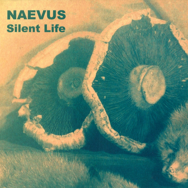 Silent Life