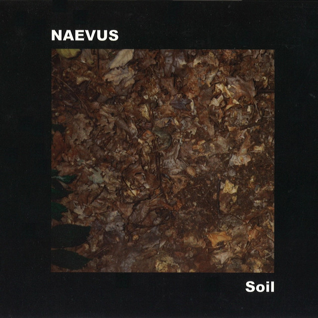 Soil