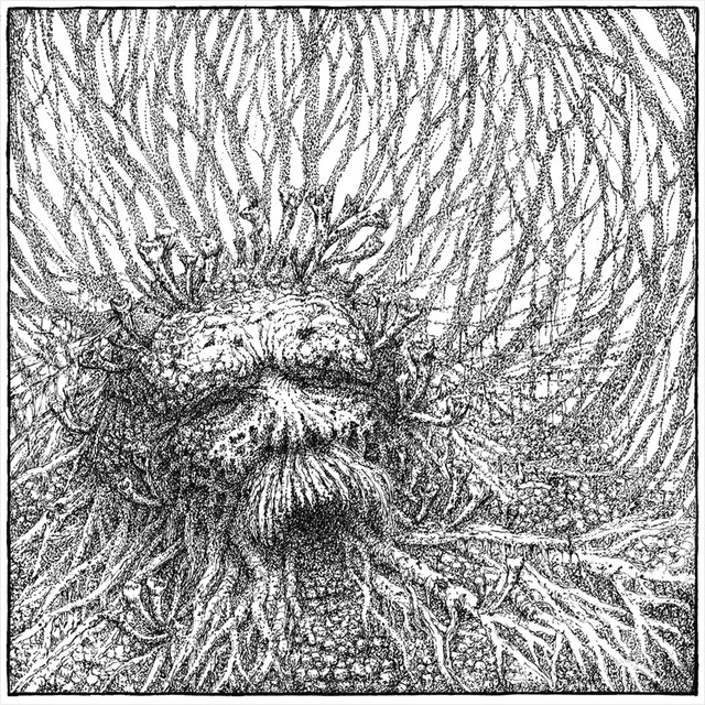 Nemorous