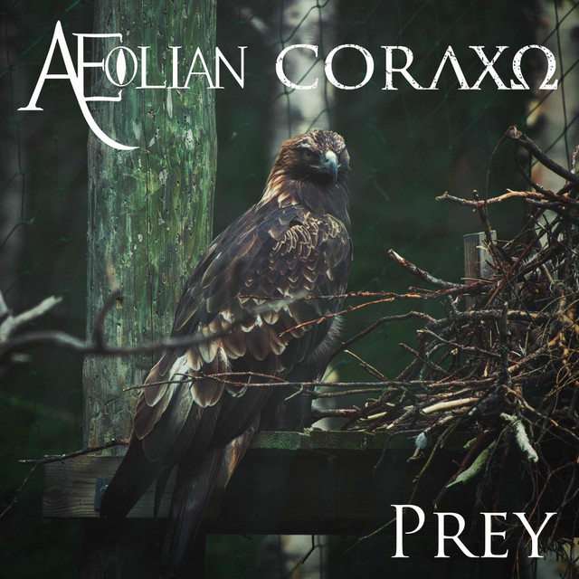 Prey