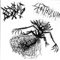 Split (Sethulum)