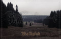Waldpfad