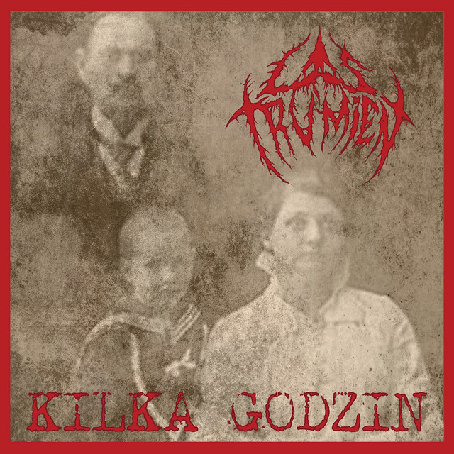 Kilka godzin