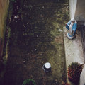 Harm Starts Here CD