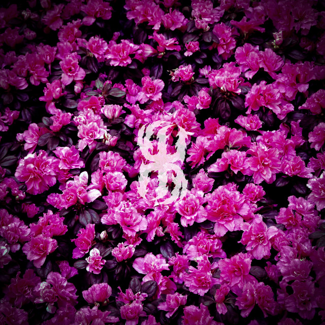 The Renasci Era