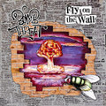 Fly on the Wall
