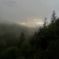 Nebel