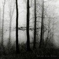 Music For Trees