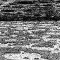 Sacrifices in the Mist (DEMO)