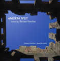 Almost cloudless / Bread for today (Richard Sinclair single)