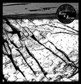 Split 7" w/Relics
