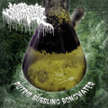 PUTRID BUBBLING BONG WATER (NYCTOPHAGIA SPLIT)