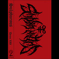 Demo XII