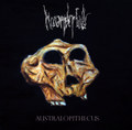 Australopithecus