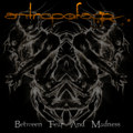 Between Fear And Madness