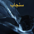 سنجاب