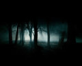 Oscuro/Orbit