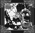 Drape / Mysterivm Xarxes Split