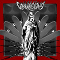 Convulsions / Insect Terror 7"