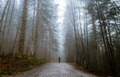 The Journey
