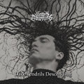 Dark Tendrils Descending