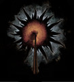 Ex Nihilio